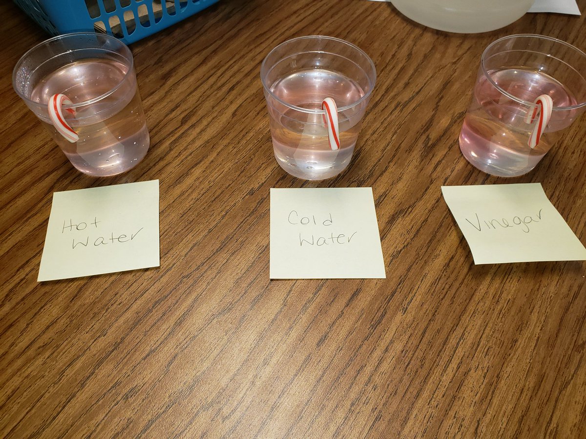 Aimee McMorris, M.Ed. tweet media