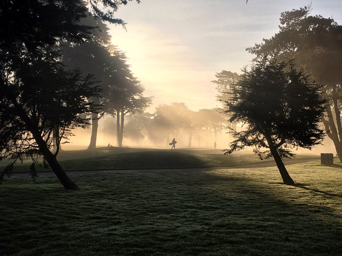 Tees the season 🎄