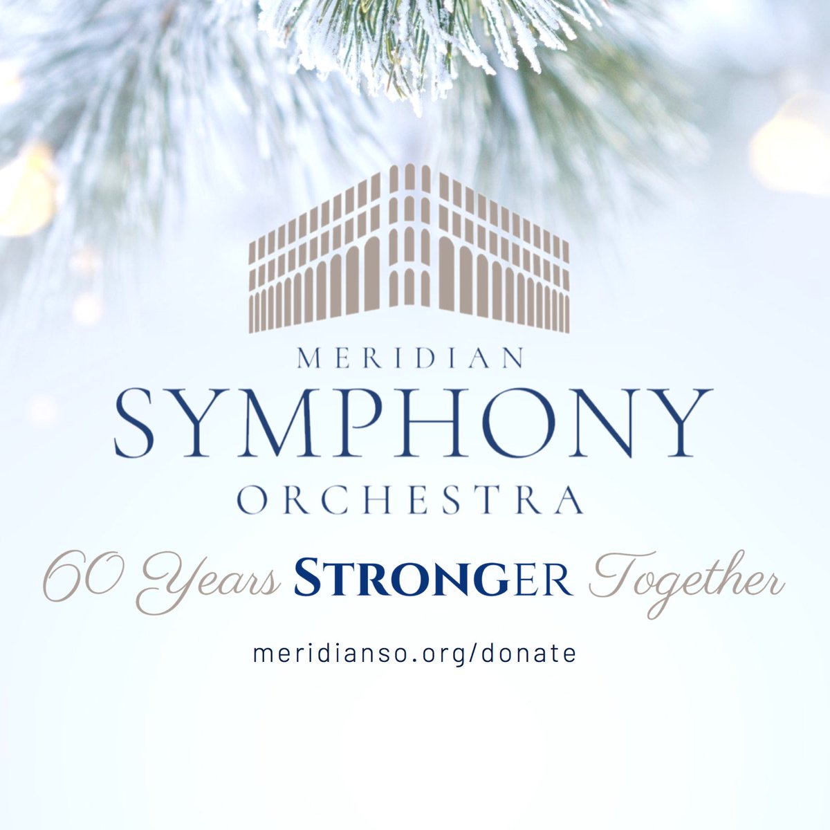 Meridian Symphony Orchestra tweet media