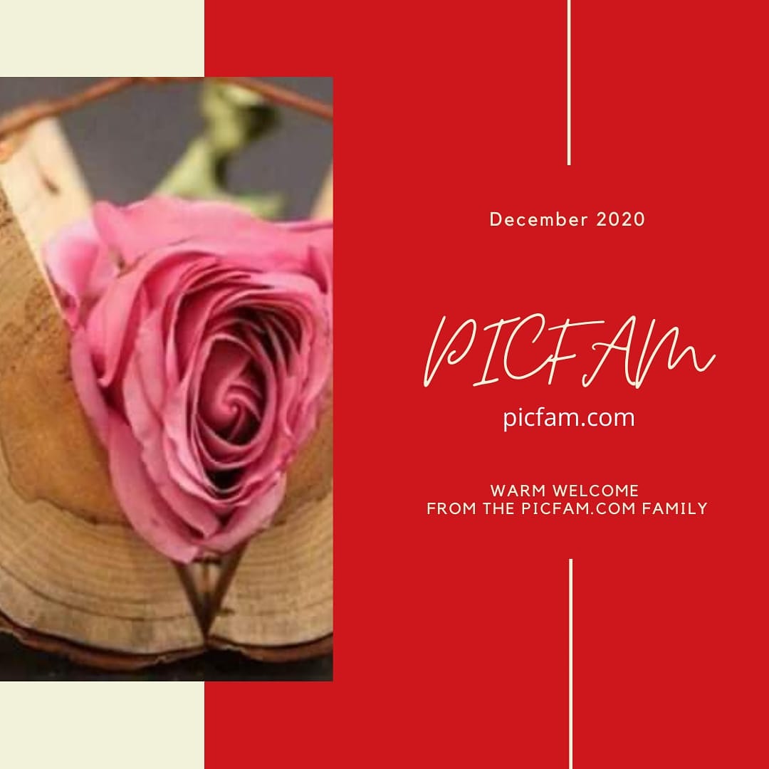picfamlogo's tweet photo. Collection from https://t.co/sBKy9qlcIV
#image #designer #logomaker #tamplete #illustration #graphic #fashion #design #branding #creative #photography #art #marketing #brand #logo #PicFam #picfam https://t.co/zci4vFtrpl