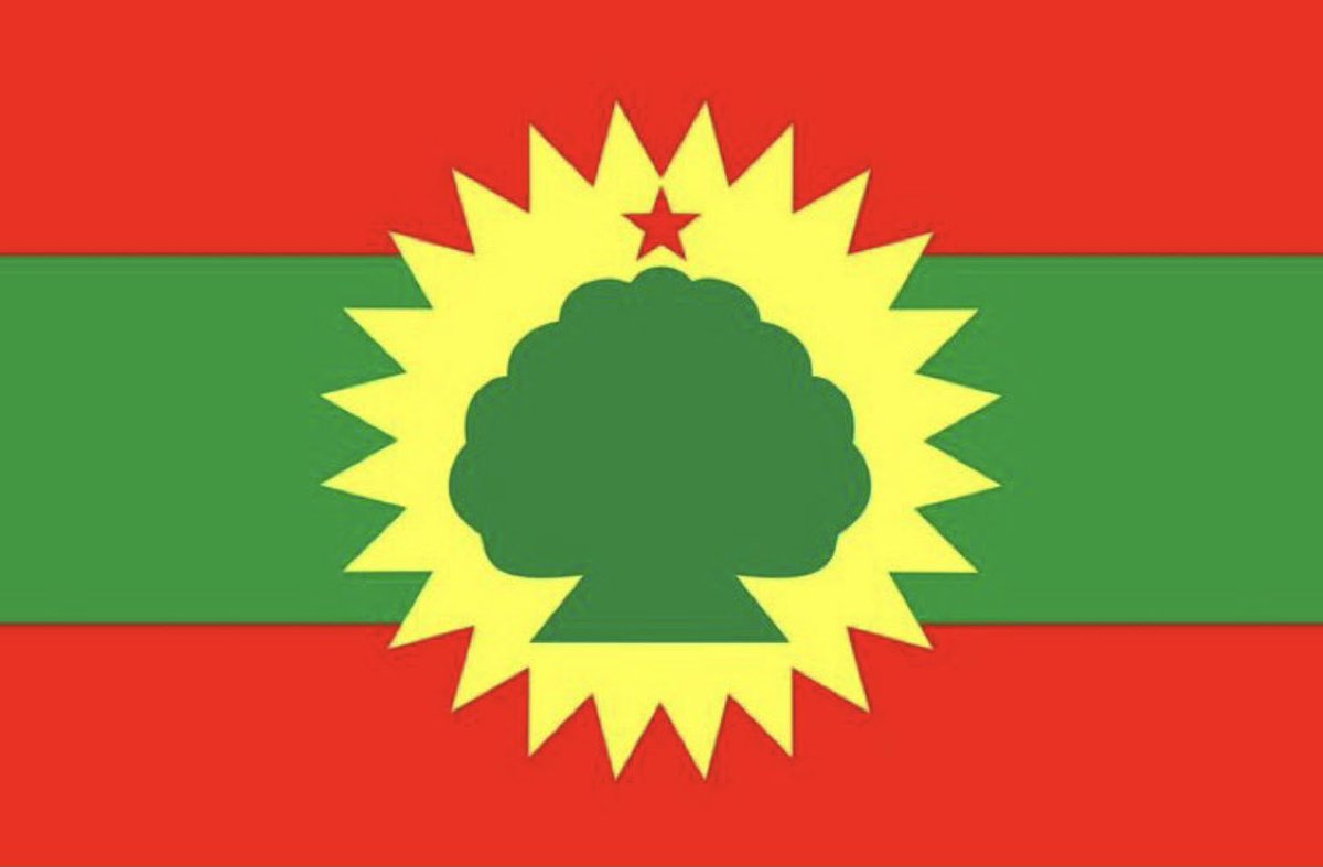 Lensamit's tweet photo. The flag                                  The face https://t.co/bW8Jr3n0YX