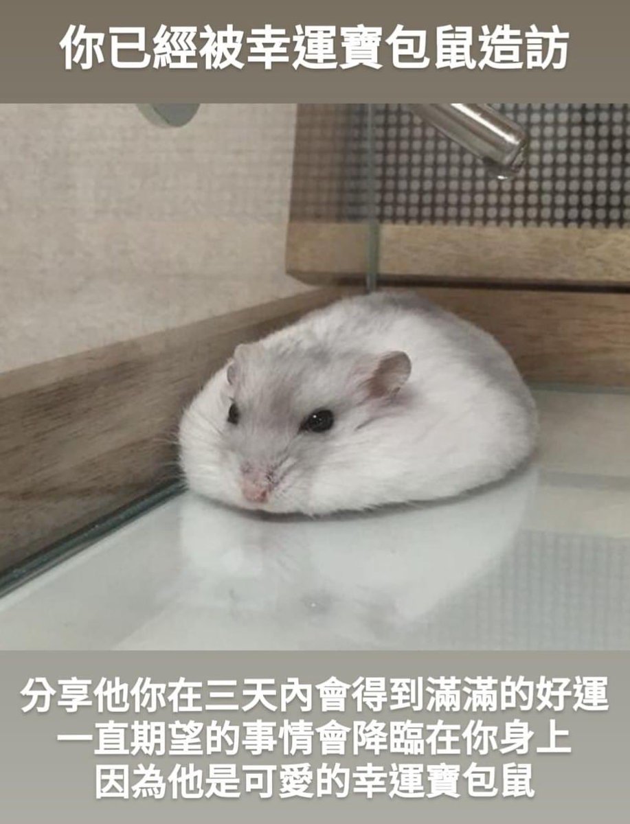 dyingpepper's tweet photo. 好 https://t.co/swR6fpUbnw
