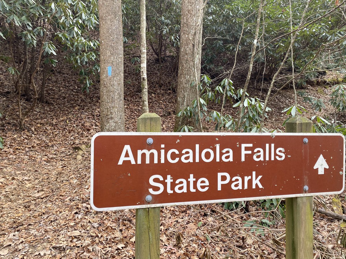 SHEsus__Christ's tweet photo. If it wasn’t for my stupid foot, I’d say this place finally feels runnable the whole way! #amicalolafalls #approachtrail https://t.co/6E7C1oPY2C