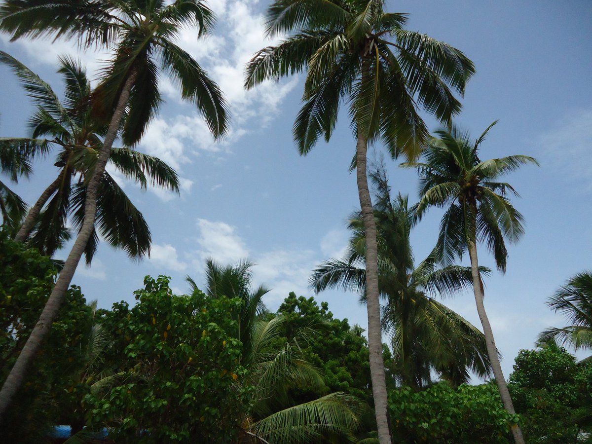 its_amisha's tweet photo. Just loving this view 😍😍
                #clicked_by_me  😜 https://t.co/nlIG6fAdEU