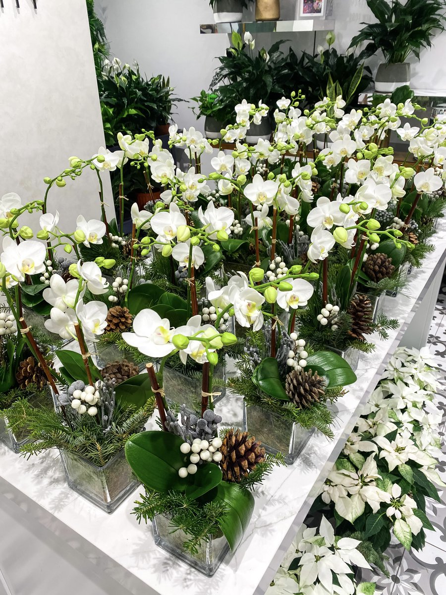 Scotts Flowers Nyc Scottsflowernyc Twitter