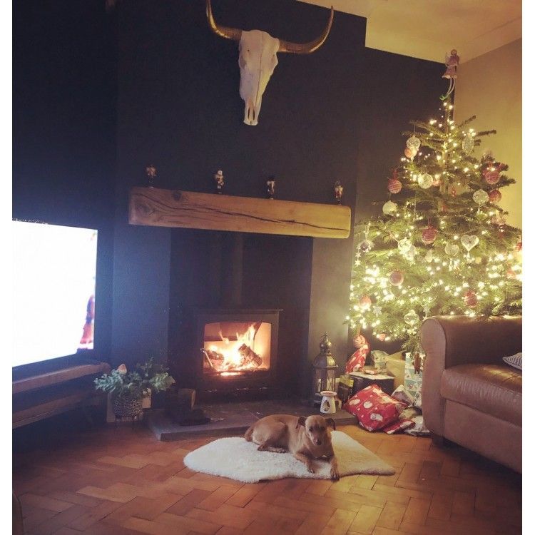 Stove World UK tweet media