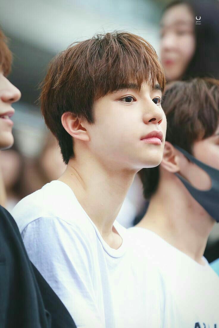 foto foto fansitenya di era rookies saat pergi ke konser EXOr'dium pernah menggemparkan pada masanya.IYALAH, ROOKIES AJA MODELANNYA GINI GIMANA PAS DEBUT