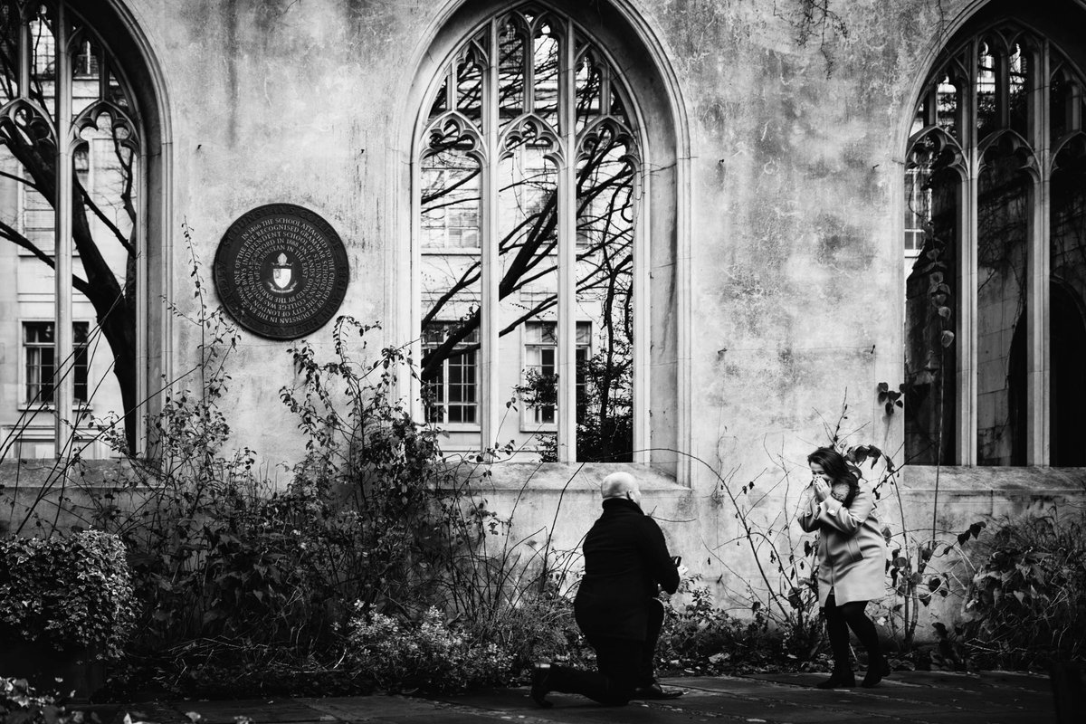 Olly Knight tweet media