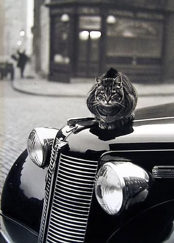 utktun's tweet photo. Thurston Hopkins
#photography #fotografia #Photographie #fotografie #写真 https://t.co/6YOOppLXpr