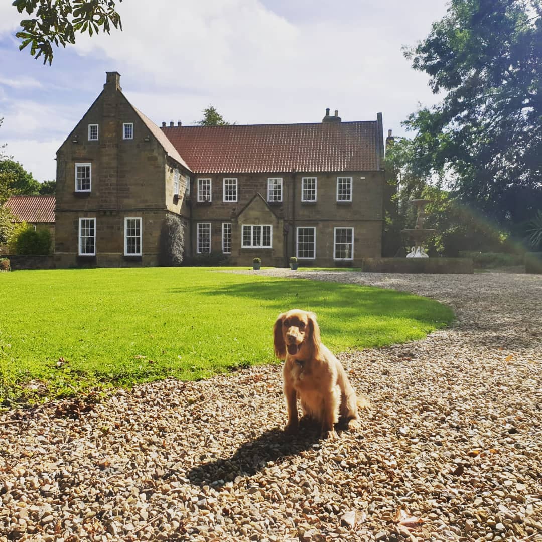 Visit Tees Valley tweet media