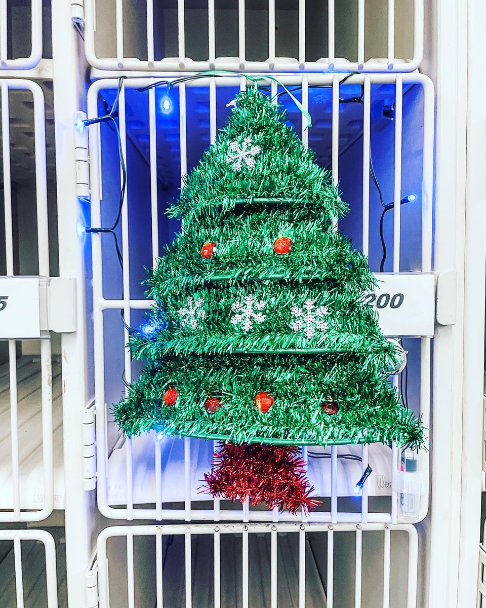 FordMSBand tweet media