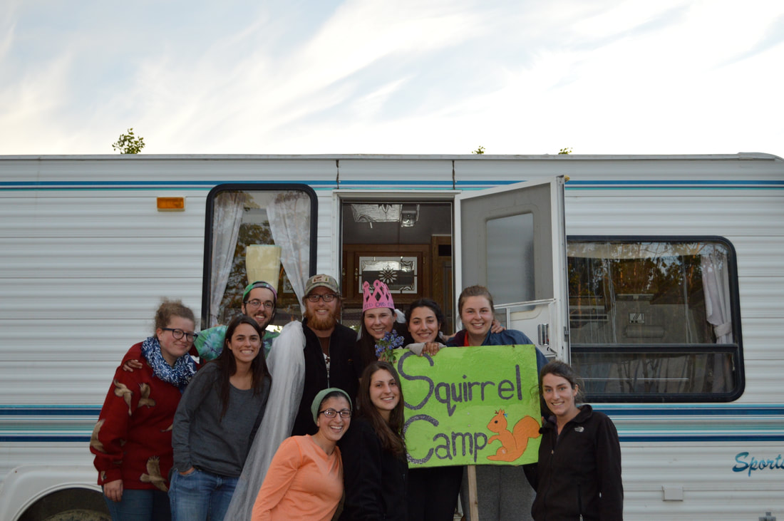 The Kluane Red Squirrel Project ( @KluaneSquirrels) is a hugely collaborative effort & this research would not have come to be without the hard work of hundreds of field technicians who have contributed to the long-term KRSP database over the past 30 years! (21/22)
