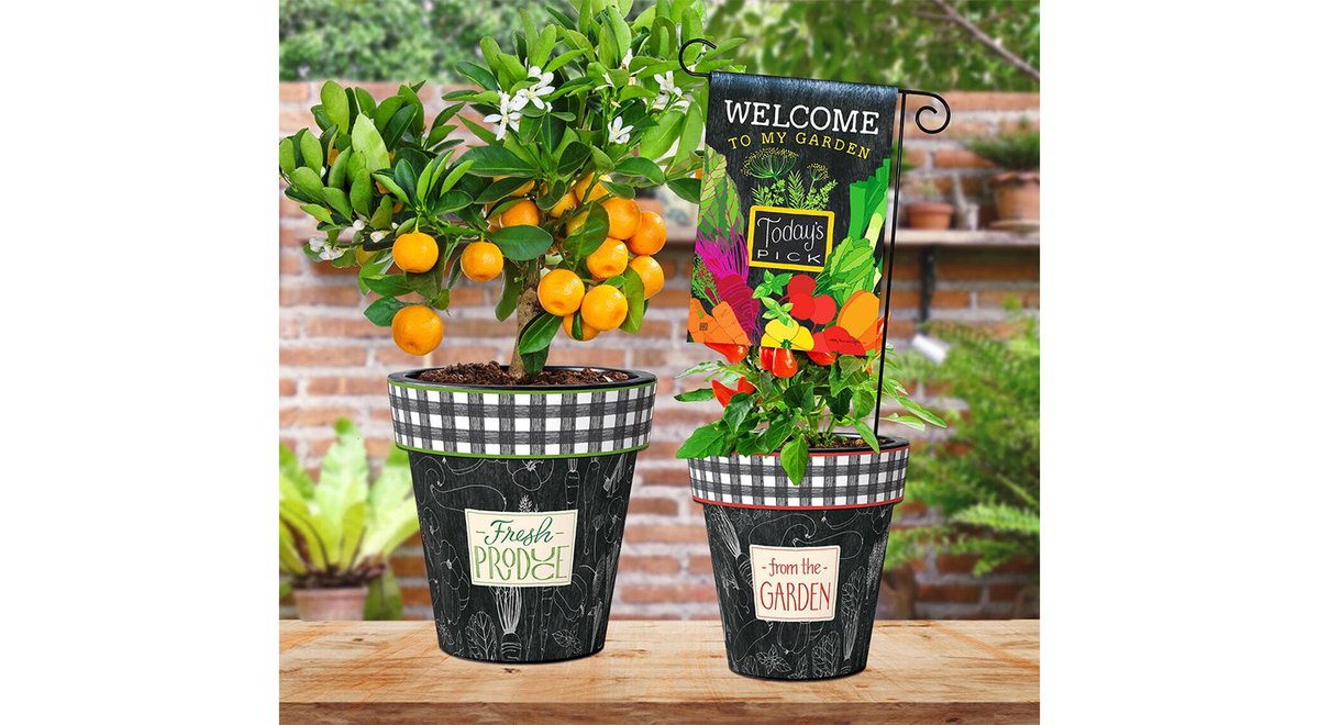 A resurgence in home gardening - both indoors and out - inspired new decor from Studio M. Take a look at #GourmetInsider: bit.ly/3h16OdN