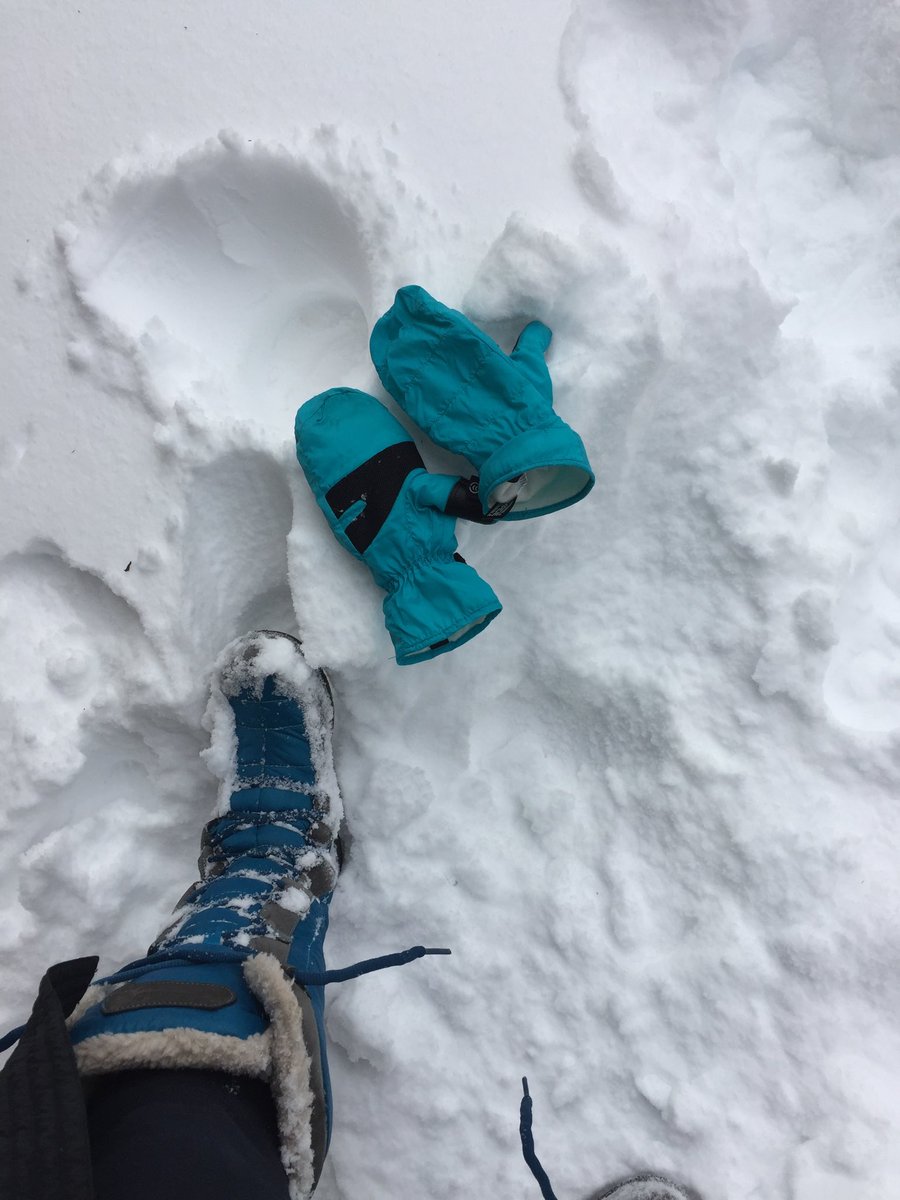 adriennefunny's tweet photo. Got my big girl boots and my big girl mittens shoveling my way to the birdfeeders. By the way facemasks keep you warmer than wrapping a scarf around your face. #snowthoughts https://t.co/Dojer4wshO