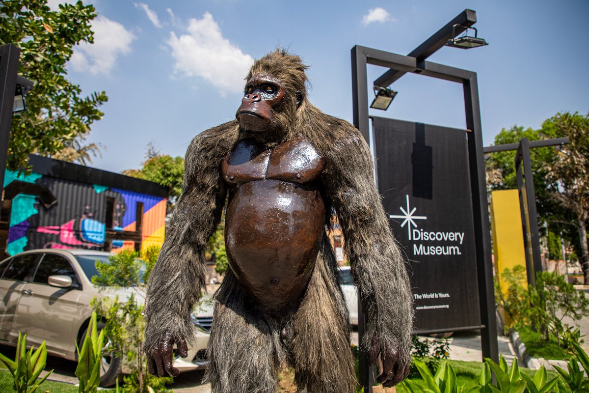 arttechdistrict's tweet photo. There is a new friend at the park, and we call him Ceaser.
He is someone you would love to meet because he loves taking pictures.
Hurry up, Ceaser is waiting for you.
#DiscoveryParkAbuja #abujaconnect #DiscoveryDecember https://t.co/GtJ8XBnZdj