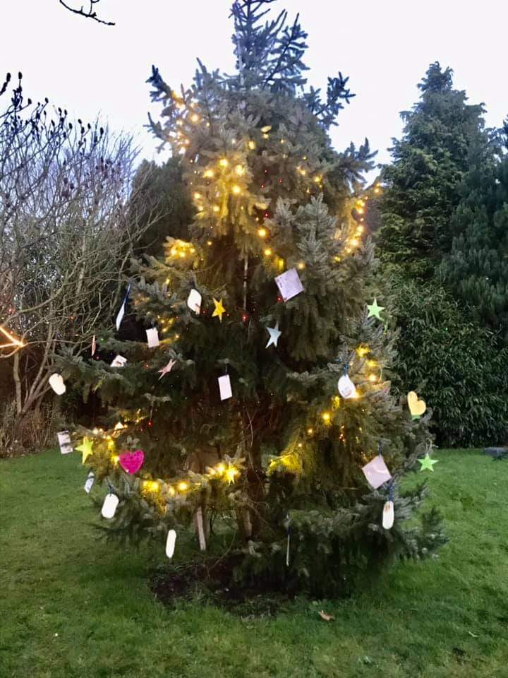 SheriffhalesSch's tweet photo. Visit the Thinking Tree, an inspired idea from Pamela Bonsall, all the children's hopes and wishes, and now its time for the community to add theirs! https://t.co/xENBmBG7hQ