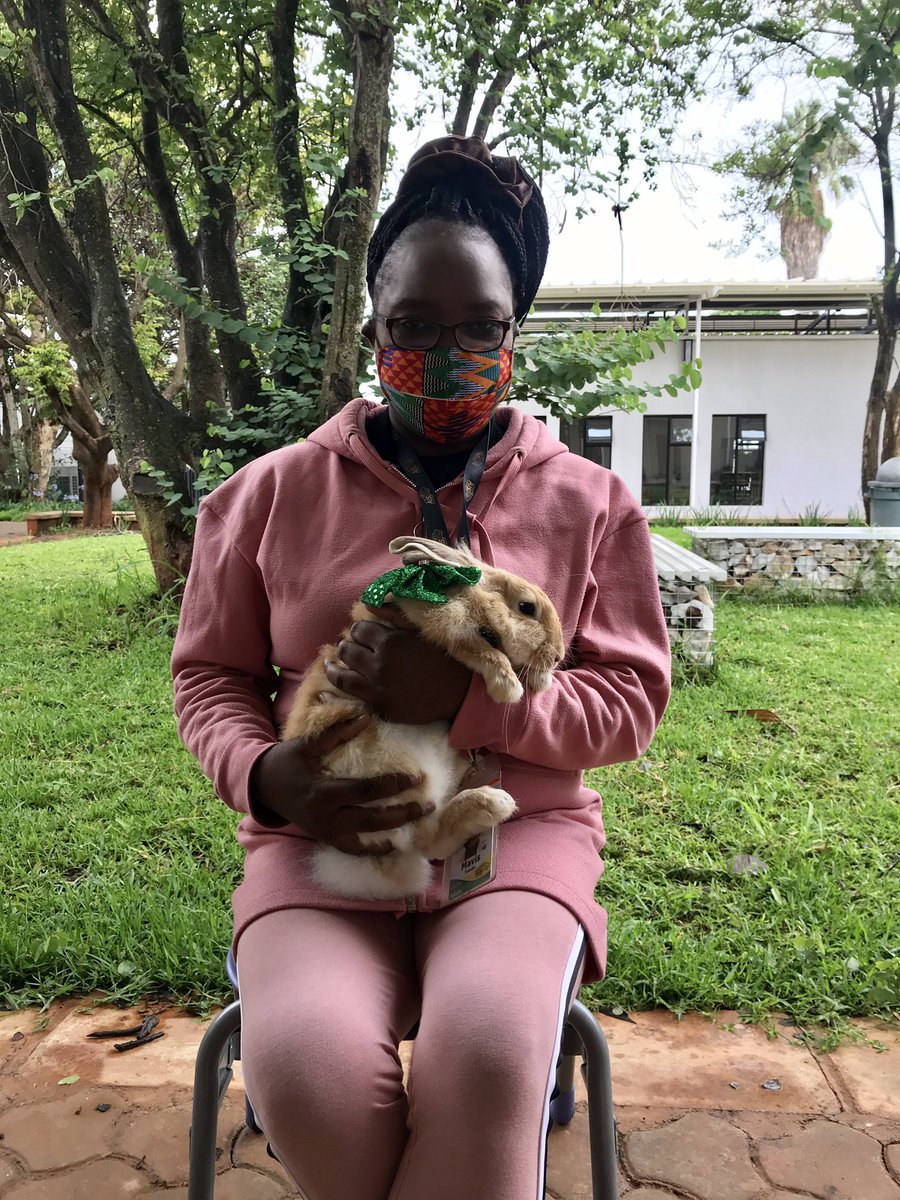 jcd118's tweet photo. Today Knuffle Bunny posed with numerous students and staff for holiday photos. Bringing joy to 2020 #libraryrabbit #librarian #librarylife #nhslma #inTLchat #tlchat @LizHaskeAuthor https://t.co/odcxKNV9Iq