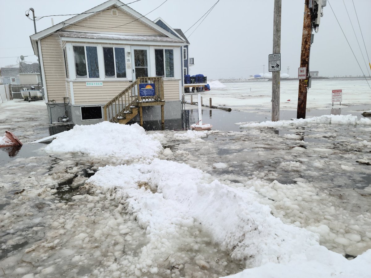 Joel Albair tweet media