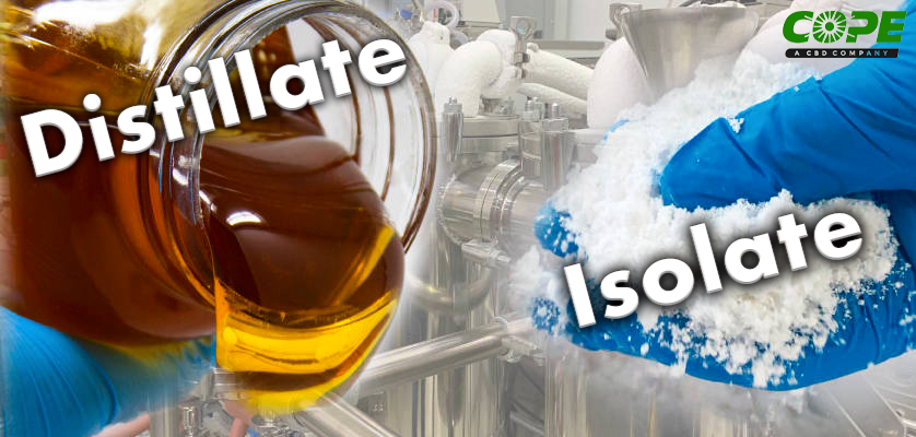 CopeCBD's tweet photo. Distillate or Isolate? Whats the difference? Link in bio to find out ⬆️
#cbdoil #cbd #hemp #cbdhealth #cbdproducts #cbdmovement #hempoil #cbdheals #cbdcommunity #crude #isolate #distallite #cbdisolate #bulkcbd https://t.co/hJIuqrobyN