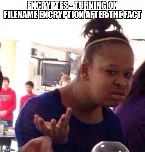 askubuntumemes's tweet image. encryptfs - turning on filename encryption after the fact askubuntu.com/questions/1300… #ecryptfs