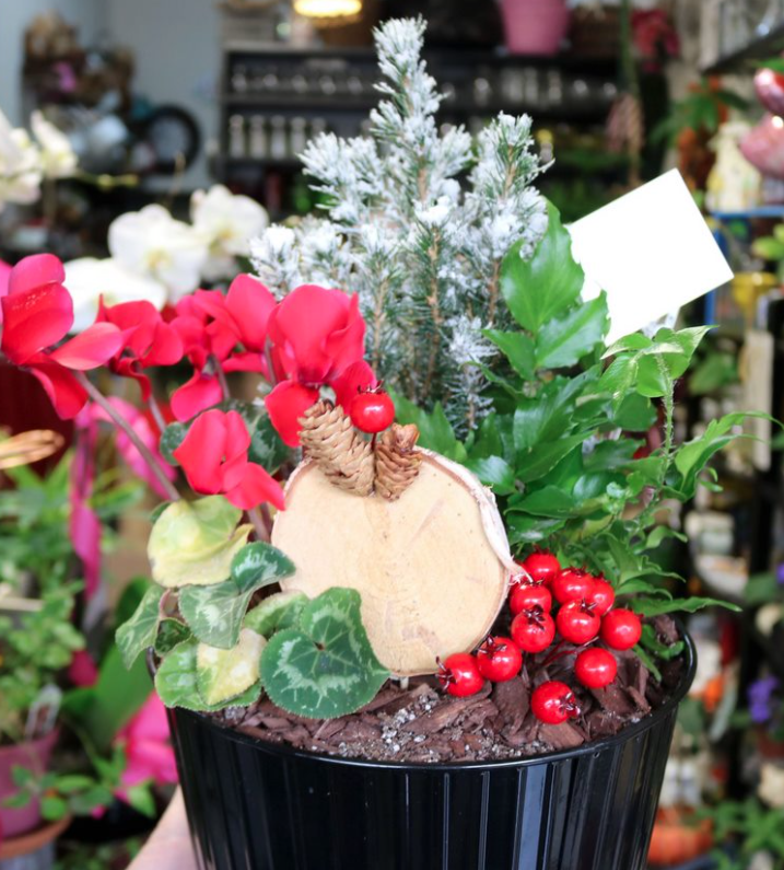 MarshManor's tweet photo. 🥰🎄Paradise Flowers &amp; Gifts' arrangements offer Holiday cheer while celebrating apart from our loved ones. https://t.co/OFPa3lId60