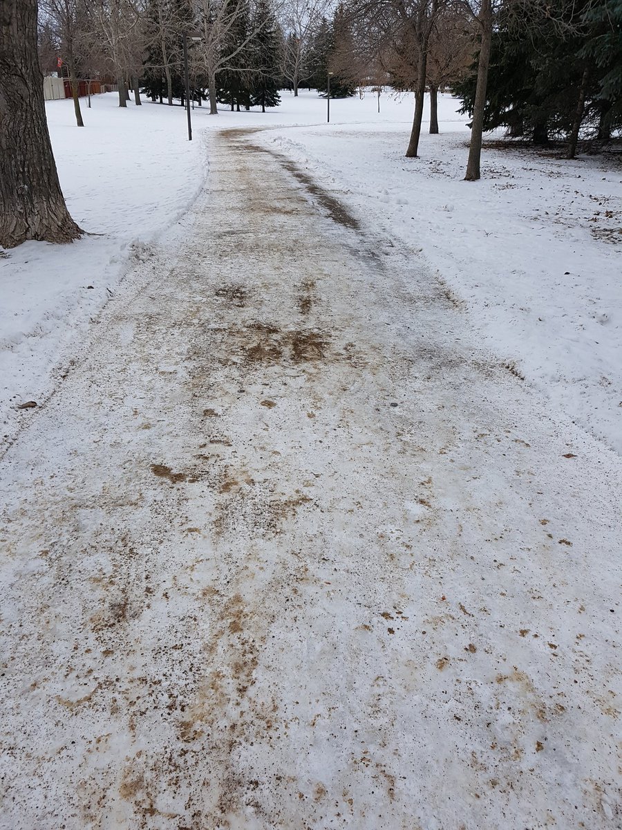 xxxgreen37's tweet photo. Thanks city of Regina for sanding our path systems!!! Makes us runners and everyone else who uses them happy😊. #running #snowrunning #ice #snow #startlineimpact #RunRegina #qcm #Parkrun #7km https://t.co/jPPmg0sVuU