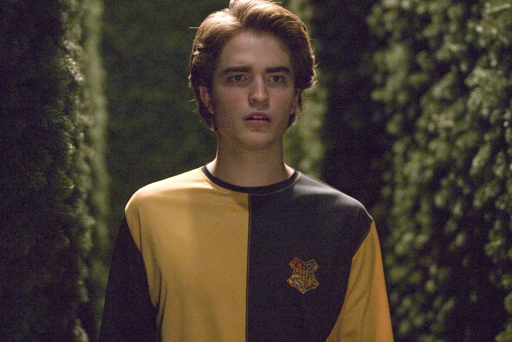 Wizarding World en Twitter: &quot;Support Cedric Diggory! (A Cedric Diggory appreciation post.)… &quot;