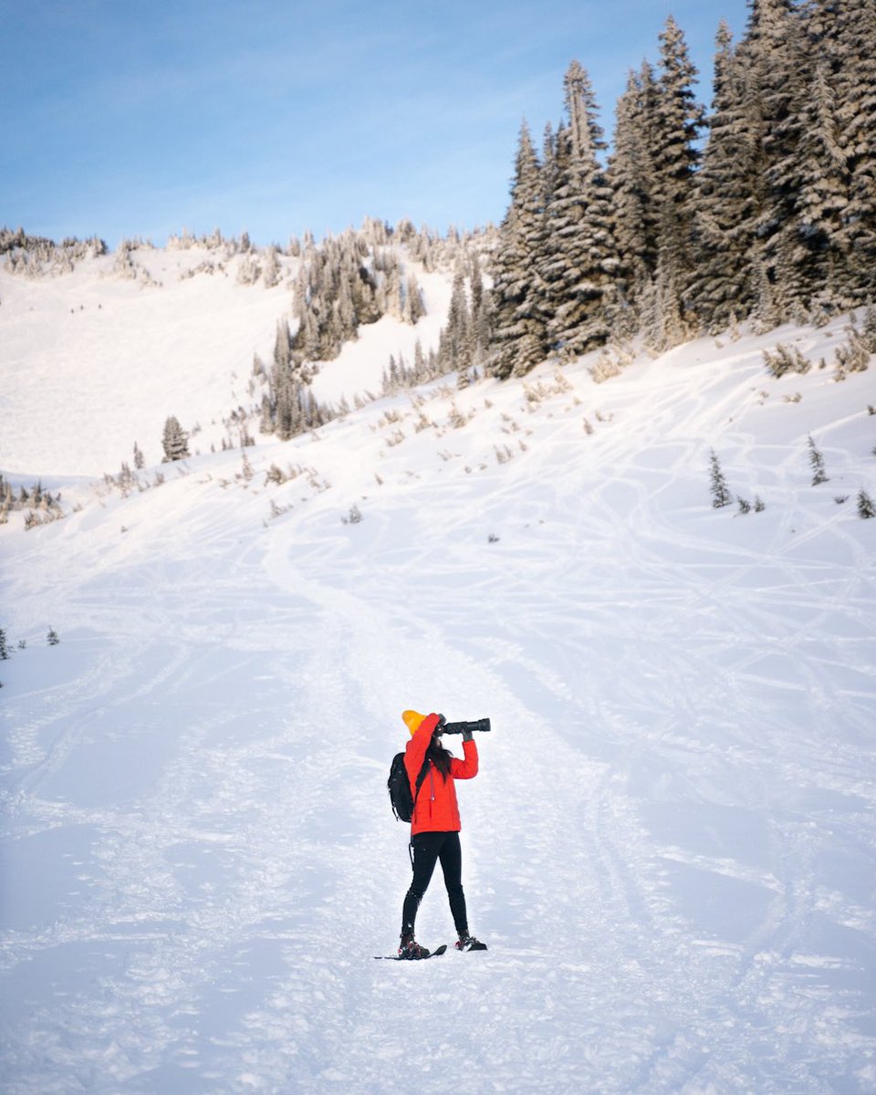 foxandpines's tweet photo. The photographer and the shot ❄️ https://t.co/u9DhOSOds7