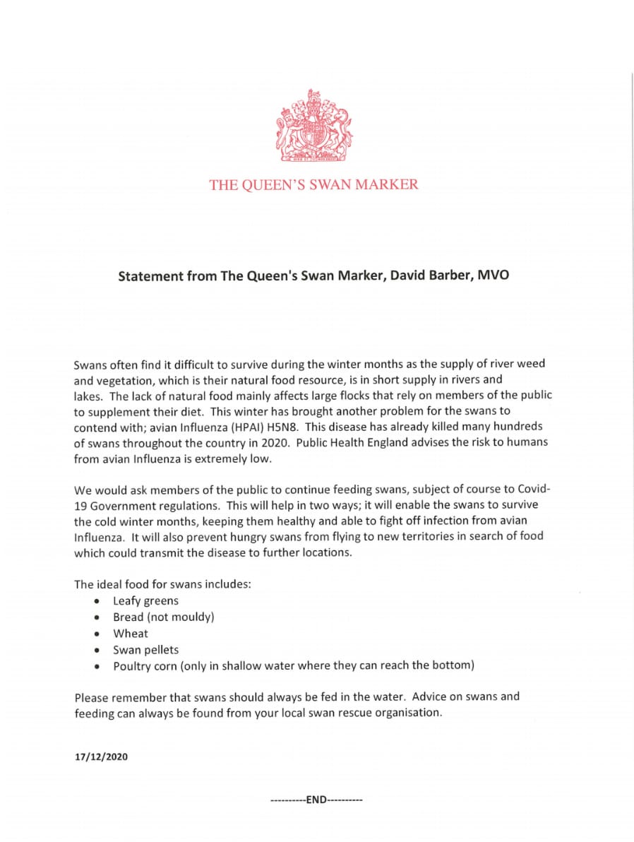 swan_support's tweet photo. Reports of avian flu has spread through waterfowl, including #swans and geese.There has also been conflicting advice given to the public, especially in regards to feeding. 
This is a statement by The Queen's Swan Marker which clarifies this advice. https://t.co/hoXSLoDdJE