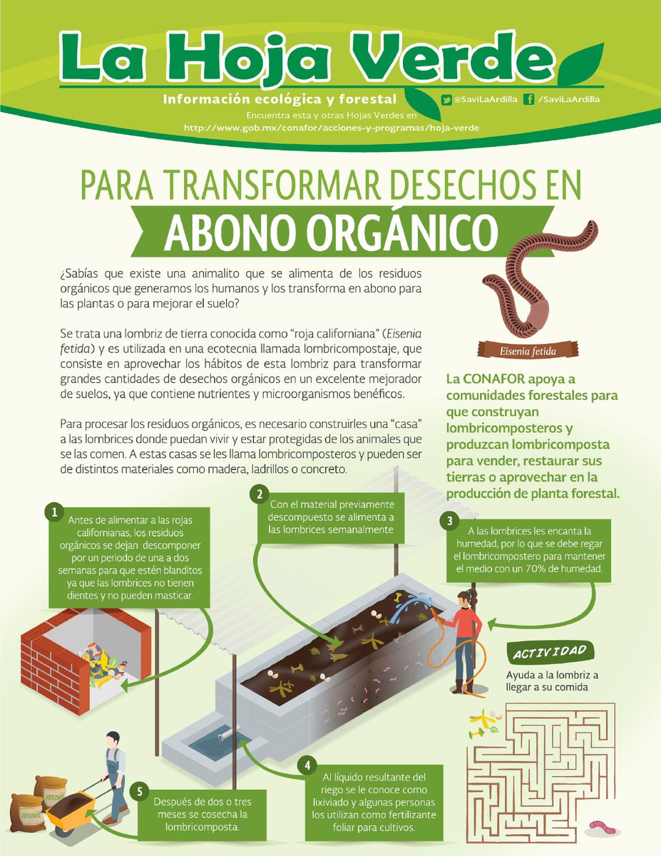 CONAFOR's tweet photo. La lombriz 🪱 roja californiana se utiliza en una ecotecnia llamada lombricomposta.
Las lombrices procesan los residuos de alimentos🍌 y producen un abono orgánico que ayuda a regenerar el suelo🌱
🌟En el #CEFOFOR de @CONAFOR se muestra esta ecotecnia a ejidos y comunidades https://t.co/0C60YRclVG