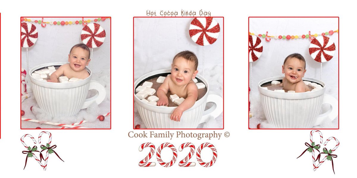cookfamphoto's tweet photo. https://t.co/lfwTaI131C