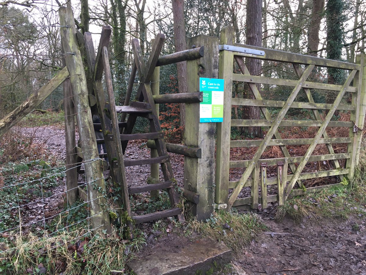 DevilsCrayon's tweet photo. @LakesStiles Jenga style stile #lymepark #dontforgetthedogs https://t.co/tPvI9dLu1c