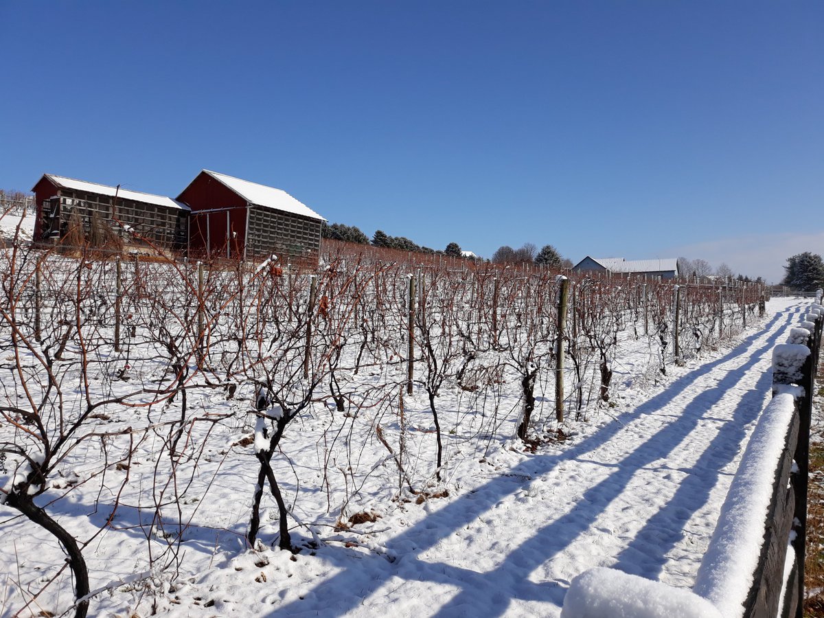 pinridgewinery's tweet photo. The roads are cleared off out here!

And we'll be open til 5 pm! https://t.co/JHzU2SmzS1