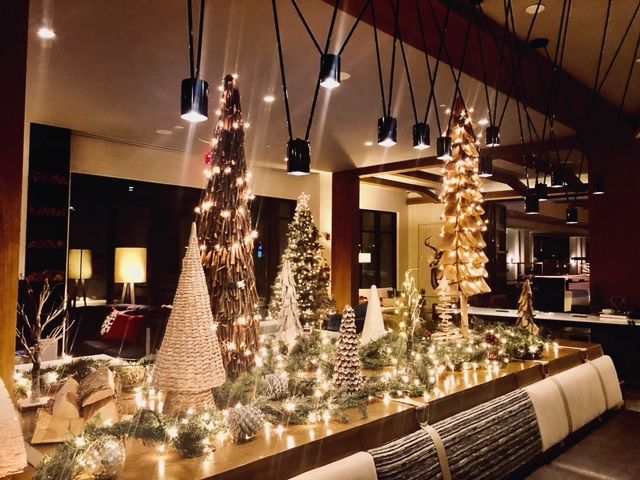HZDTweets's tweet photo. A little bit of holiday magic in our hotel lobby. ✨🎄 See for yourself with a holiday staycation at our boutique Danbury Hotel. Book now https://t.co/cI8MzTIK5Z
.
#hotelzerodegrees #danbury https://t.co/AWUGJ4hk3l