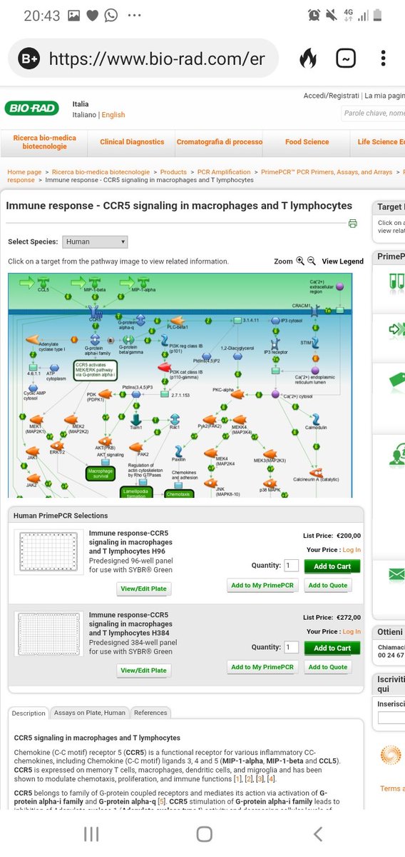 They are looking for the bloodlineResearchConnection between cov19-HIV-PCR-epigenetic-china?Which bloodline?Pleidian? @realDonaldTrump  @GenFlynn  @John_F_Kennnedy  @VincentCrypt46  @SnowWhite7IAM