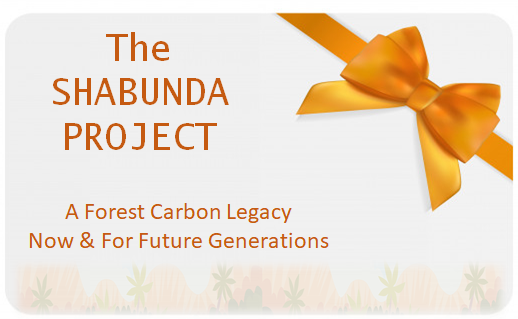 Community Forests Need Your Help - mailchi.mp/3ca9915191f3/c…

The SHABUNDA PROJECT, DRC, AFRICA

Support Communities that Live In and Protect the Forest