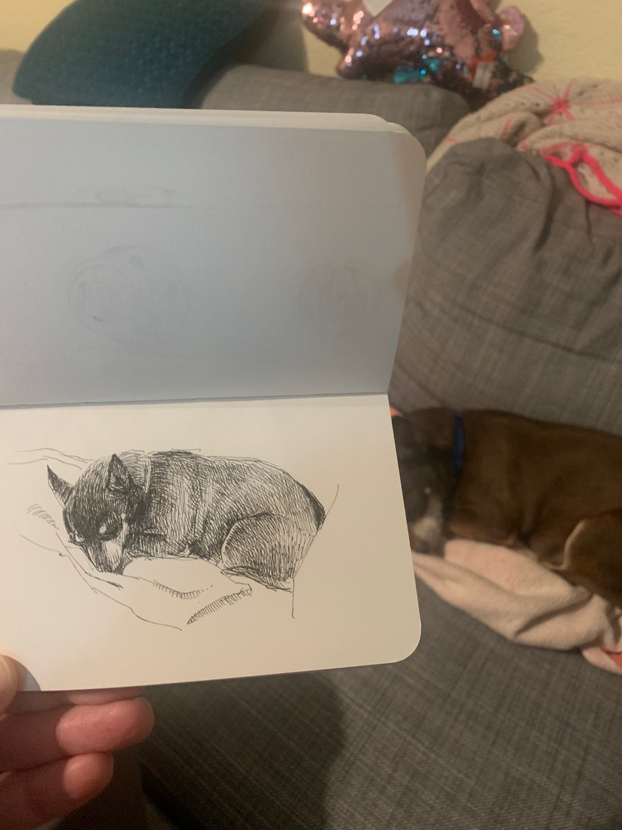 My dog Freddie, Sep 23