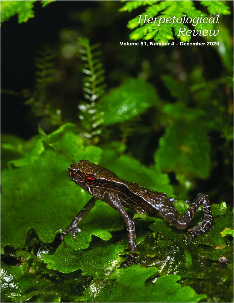 JB_Publishing's tweet photo. A lovely review for 'A Naturalist's Guide to the Snakes of Australia' in December's Herpetological Review-thank u @ssarherps "...should be included in the library of anyone with an interest in #Australiansnakes." #bookreview #snakes #australia #herpetology https://t.co/Acr9DmkRgv https://t.co/jHPELEOOhw