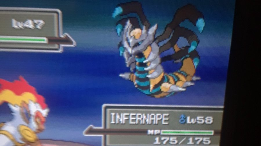 Alex on X: Shiny Giratina in Platnium after 8,732 Resets! One of