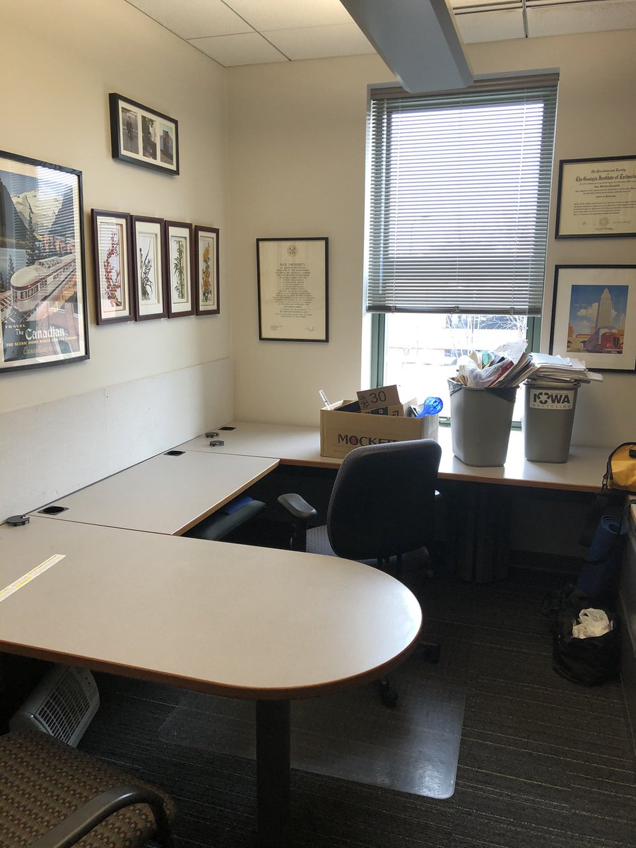 Ann Melissa Campbell tweet media