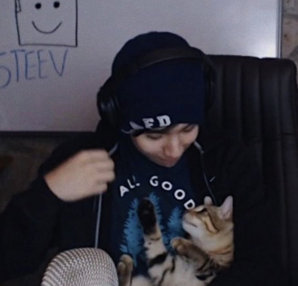 quackity as ducks~ a thread ~{  @Quackity  @quackity4k }