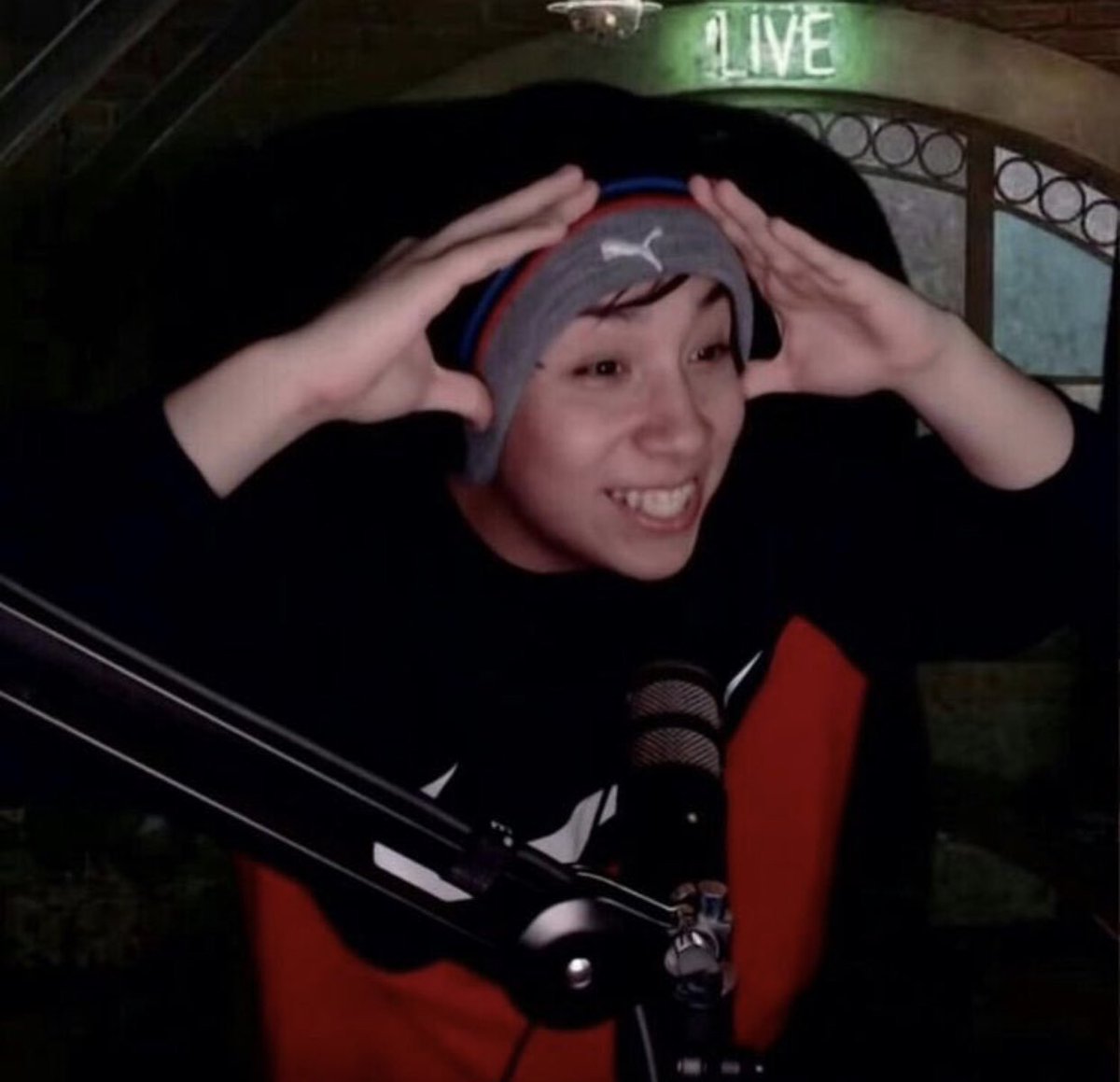 quackity as ducks~ a thread ~{  @Quackity  @quackity4k }