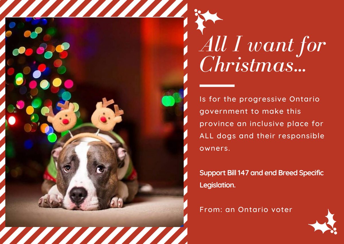 Fayclis's tweet photo. #MerryChristmas .@SteveClarkPC Thank you so much for supporting the removal of the #Ontario breed ban. Looking forward to #Bill147 passing 3rd reading in the next legislative session at #QueensPark. #EndBSL The science to #SupportBill147 is attached. https://t.co/Qdh5wYxRM8 https://t.co/X2RZILfzs6