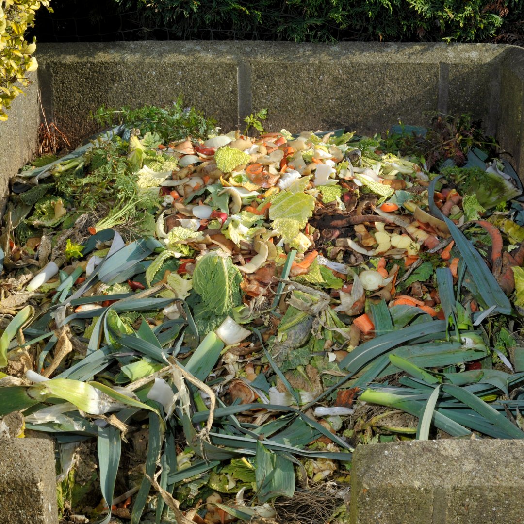 Wessexgrounds's tweet photo. It's important not to turn your compost heap at this time of year as it may be home to hibernating wildlife such as hedgehogs as well as reptiles & even bumblebees. Wait until the spring if you can. #WGS #gardeningtips #compostheaps #dorset #hibernation #groundsmaintenance https://t.co/3F0vTbASrw