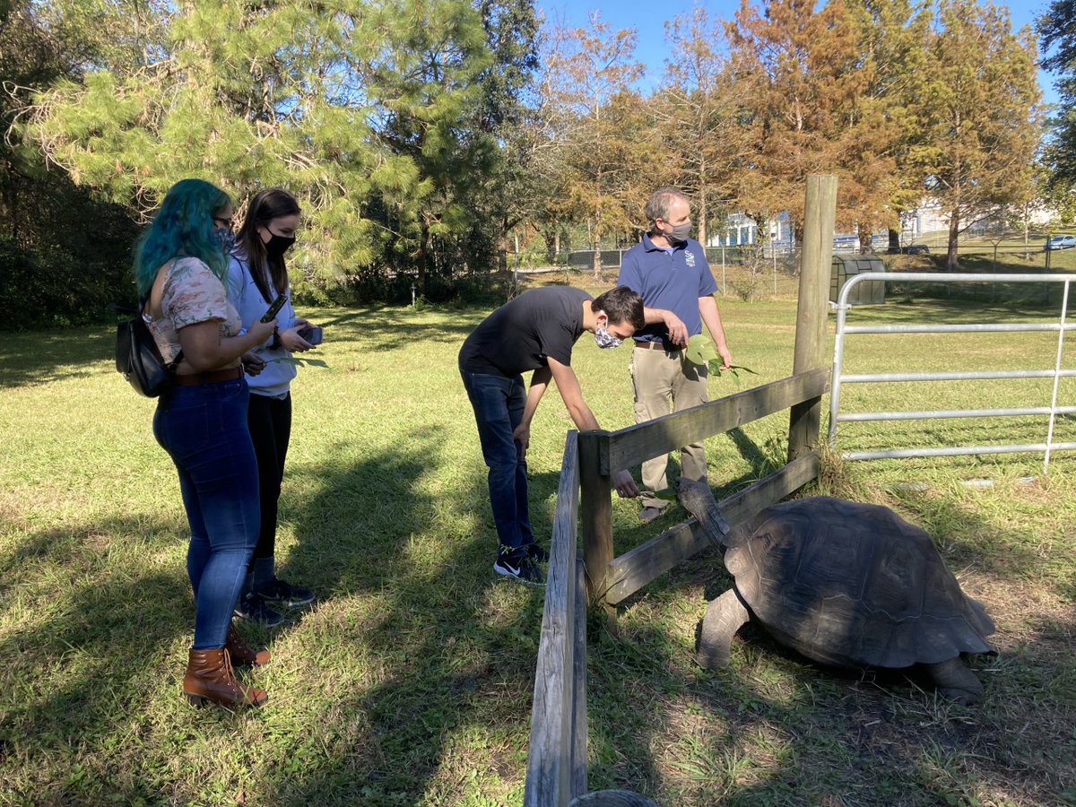 UFWildlife's tweet photo. Jon Miot, Director/Program Coordinator at the @SFTeachingZoo, hosted two small groups of students from Dr. Matt Hallett's 'Zoo Management &amp; Conservation' course for masked, socially-distanced field trips!

#UFwildlife #SFTeachingZoo #santafecollege #UF #Uflorida https://t.co/PnlR274B4u