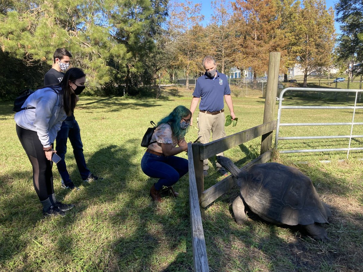 Jon Miot, Director/Program Coordinator at the <a href="/SFTeachingZoo/">SF Teaching Zoo</a>, hosted two small groups of students from Dr. Matt Hallett's 'Zoo Management &amp; Conservation' course for masked, socially-distanced field trips!

#UFwildlife #SFTeachingZoo #santafecollege #UF #Uflorida