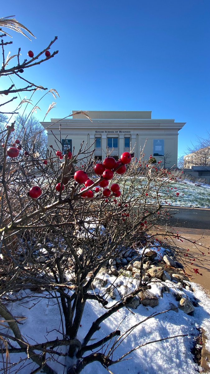 KogodBiz's tweet photo. We went from Kogod to Snow-god yesterday ❄️ (our social media manager made us use this caption)
#Kogod #Snowgod #AmericanU #AmericanUniversity #WashingtonDC https://t.co/nDUhehgkJH