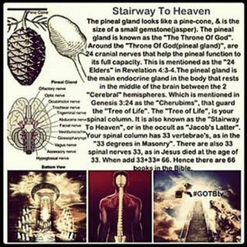 if roots are what you rely on, what happens when the leaves fall in your garden? Were you getting too cold, and forgot the soil (soul) we walk on? Forgotten to snap branches for new ones? The Tragic Nuance, lost in tree trunks, down the rabbit hole hatless...