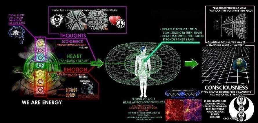 if roots are what you rely on, what happens when the leaves fall in your garden? Were you getting too cold, and forgot the soil (soul) we walk on? Forgotten to snap branches for new ones? The Tragic Nuance, lost in tree trunks, down the rabbit hole hatless...