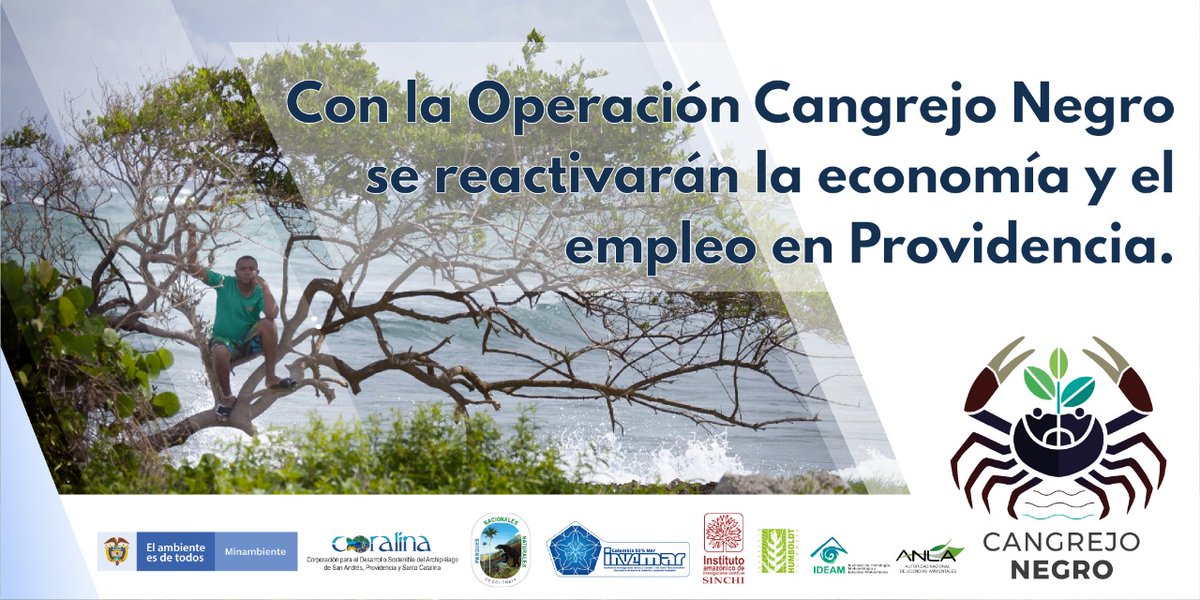 fmcaicedo's tweet photo. #OperaciónCangrejoNegro permitirá que se reactive la economía y el empleo en #Providencia, de la mano con las comunidades y el Sistema Nacional Ambiental para la recuperación de las zonas afectadas por el huracán Iota. #UnidosPorElArchipiélago @MinAmbienteCo @CarlosECorreaE https://t.co/Sk844K3mGN